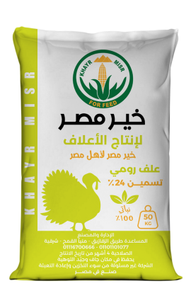 رومي تسمين-24