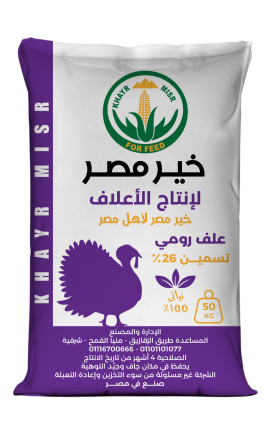 رومي تسمين-26