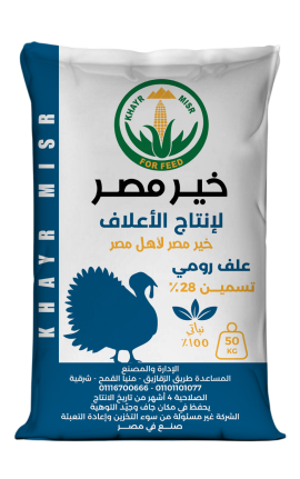 رومي تسمين-28