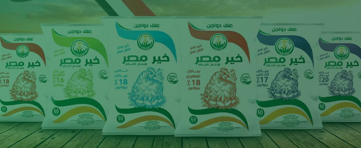 project-details-img-1 (1)