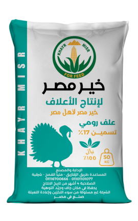 رومي تسمين-17